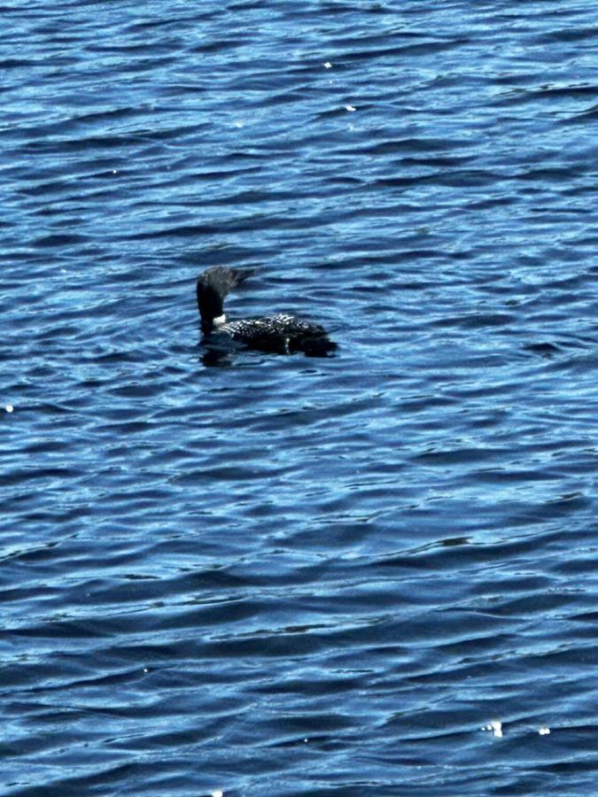Welcome To The Lake Northwood Luaran gambar